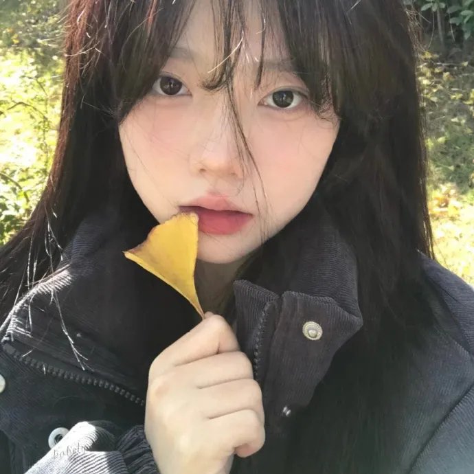 女主播风云